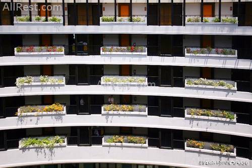Millennium Resort Patong 36